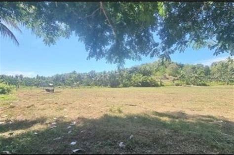 land for sale cebu|vacant land for sale by owner.
